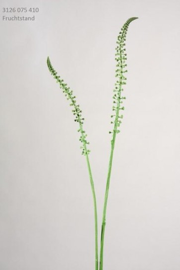 Selyemvirág Eremurus ág mûanyag 75cm almazöld