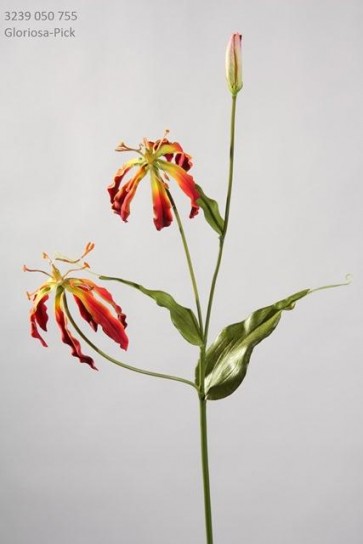 Selyemvirág Gloriosa mûanyag 50cm cseresznye (v.fehér)