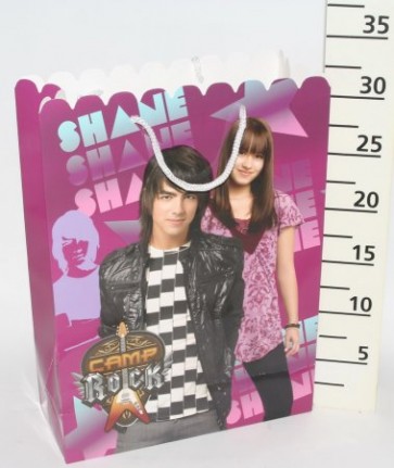 PT.CAMP ROCK SHANE24*33CM