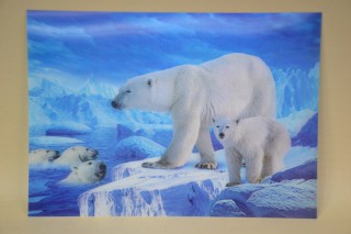 Tányéralátét db-os jegesmedve 3d 34,5*24,5cm