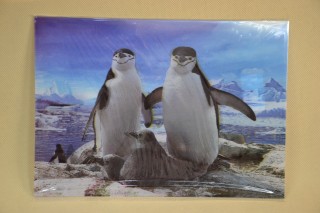 Tányéralátét db-os pingvinek 3d 34,5*24,5cm