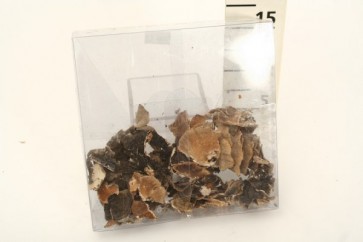 TAPLÓGOMBA 45G