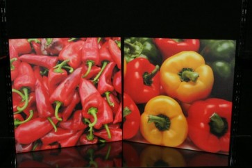 FA KÉP PAPRIKA 2S 40*40CM