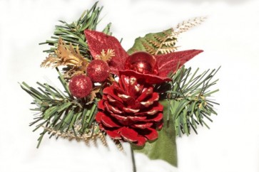 KARIPICK ILEX PIROS      13