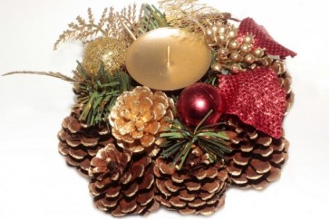 GYT.KOSZORÚ ILEX PIROS   15