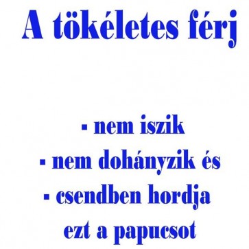 Papucs/ Tökéletes férj