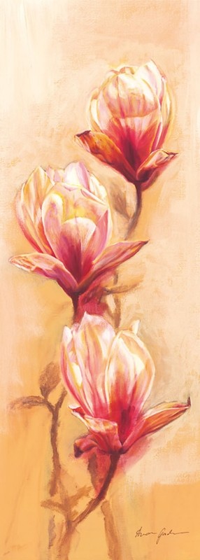 25x70 cm keprepro board