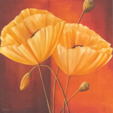 70x70 cm keprepro board