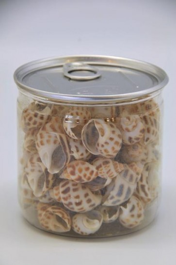 Kagyló konzervdobozban 170gr fehér-barna-bézs