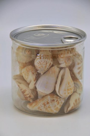 Kagyló konzervdobozban 220gr fehér