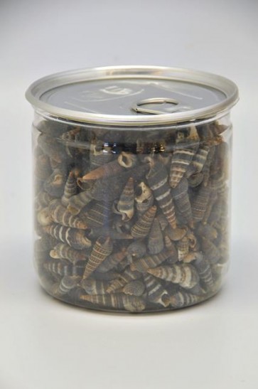 Kagyló konzervdobozban 210gr fehér-szürke-sárga SSS