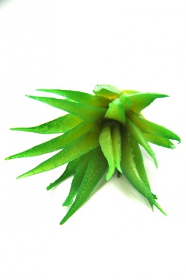 Selyemvirág Pozsgás növény mûanyag 9cm zöld S/5