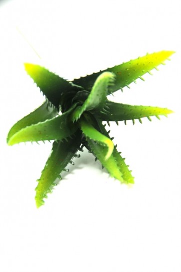 Selyemvirág Pozsgás növény mûanyag 15cm zöld