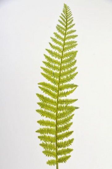 Selyemvirág Páfrány levél  zöld 100cm