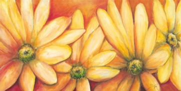 50x100cm keprepro board