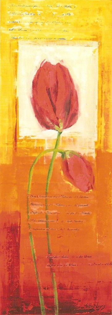 25x70 cm keprepro board