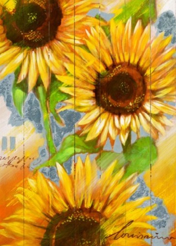 50x70cm keprepro board