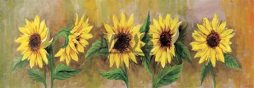 35x100 cm keprepro board