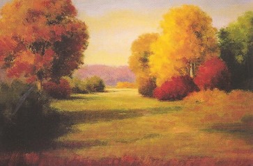 93x62cm keprepro board