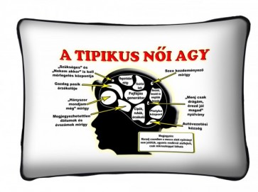 Párna P030 Tipikus nõi agy