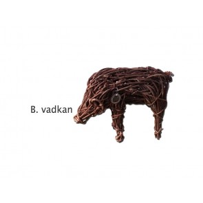 Dekor állatok vesszõbõl II (B) vadkan