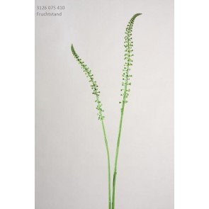 Selyemvirág Eremurus ág mûanyag 75cm almazöld