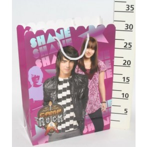 PT.CAMP ROCK SHANE24*33CM