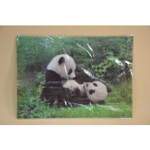 Tányéralátét db-os pandamacik 3d 34,5*24,5cm