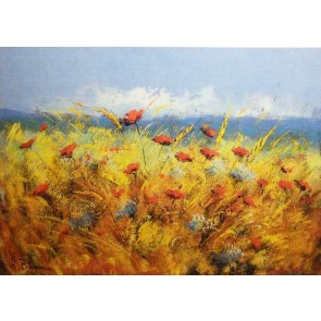 50x70cm keprepro board