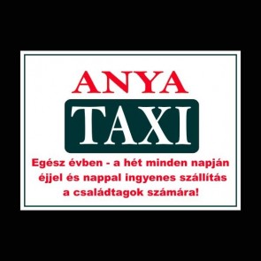 Rendszámtábla/ Anya taxi