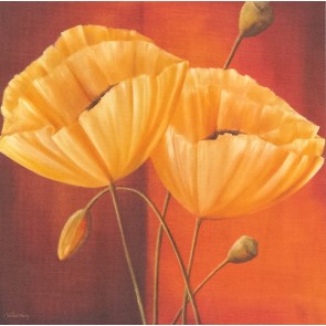 70x70 cm keprepro board