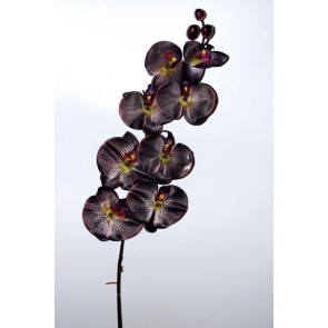 Selyemvirág Phalaenophis orchidea  90cm lila-zöld