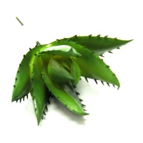 Selyemvirág Pozsgás növény mûanyag zöld