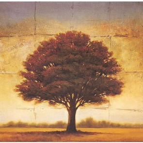 70x70cm keprepro board