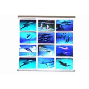 Hûtõmágnes fotós delfines (7,5*5cm) kerámia lapos