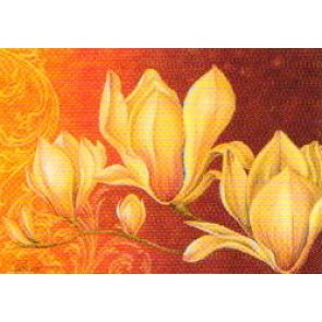 50x70 cm keprepro board