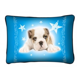 Párna P005 Bulldog
