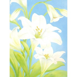 60x80 cm keprepro board