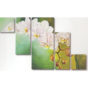 110x70cm 5reszes keprepro  BOARD