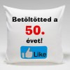 Párna/ Betöltötted 50