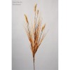 Selyemvirág Pennisetum mûanyag 79cm sárga SSS