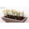 Selyemvirág Fritillaria mûanyag 44cm zöld-fehér