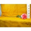TULIPÁNSZÁL            50CM