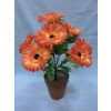 CSOKOR GERBERA 10FEJES 3S