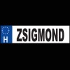 Zsigmond