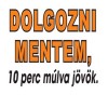 Póló/ Dolgozni mentem