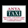 Rendszámtábla/ Anya taxi