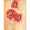 50x70 cm keprepro board