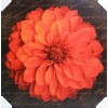 70x70 cm keprepro board
