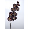 Selyemvirág Phalaenophis orchidea  90cm lila-zöld